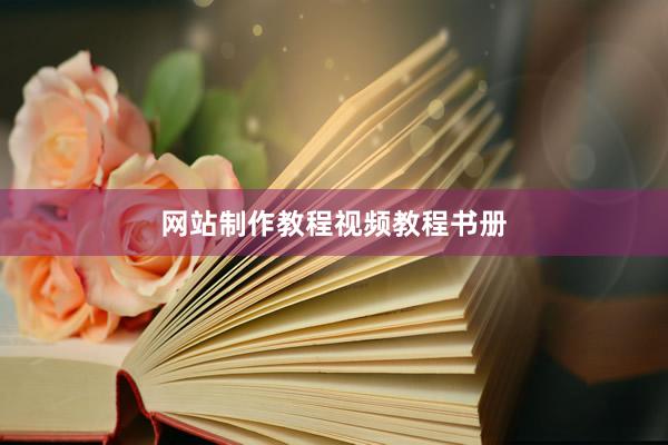 网站制作教程视频教程书册