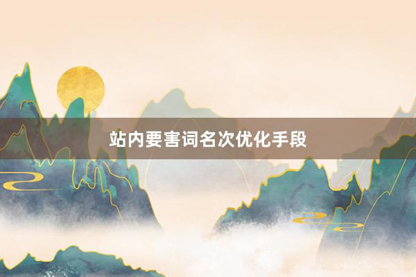 站内要害词名次优化手段