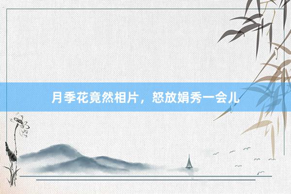 月季花竟然相片，怒放娟秀一会儿