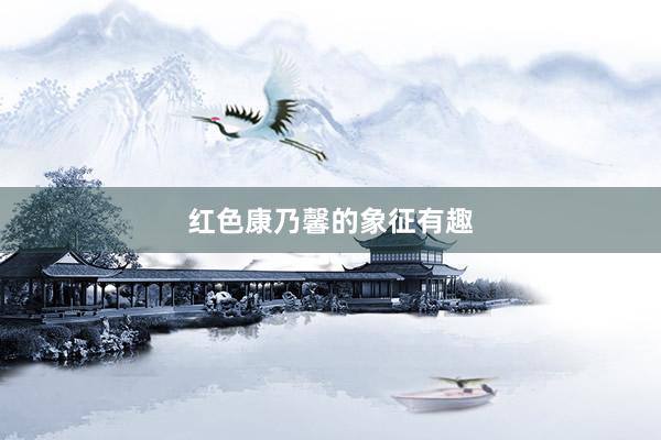红色康乃馨的象征有趣