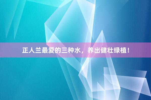 正人兰最爱的三种水,养出健壮绿植!